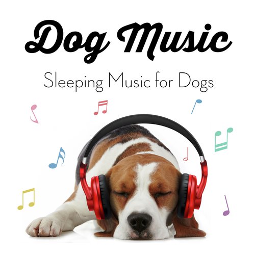 Free 2024 dog music