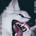 Don't Test The Dawgs