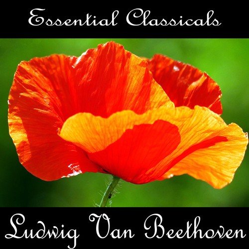 Essential Classics: Ludwig van Beethoven