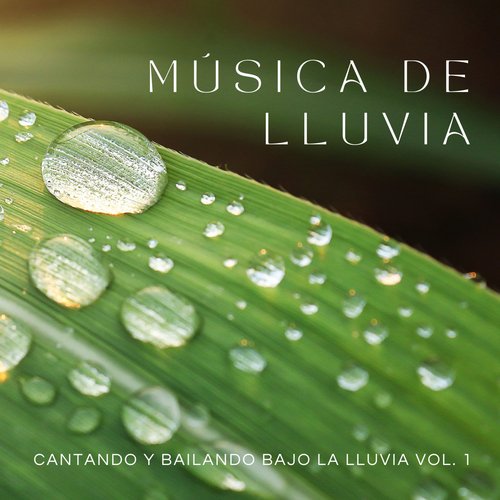 Tormenta De Lluvia cover art