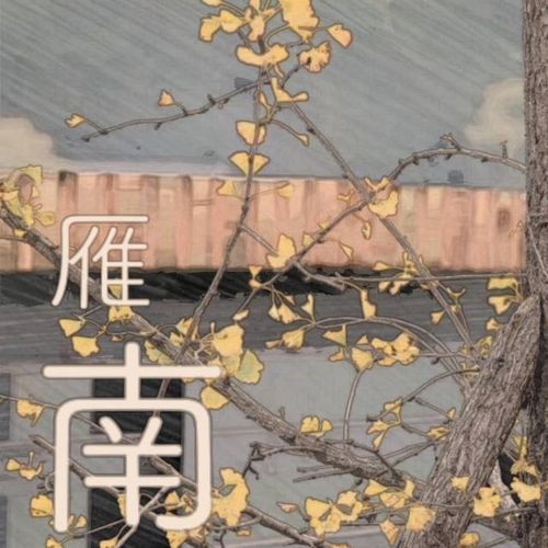 雁南
