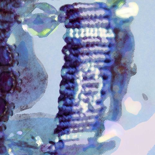 Anders cover art