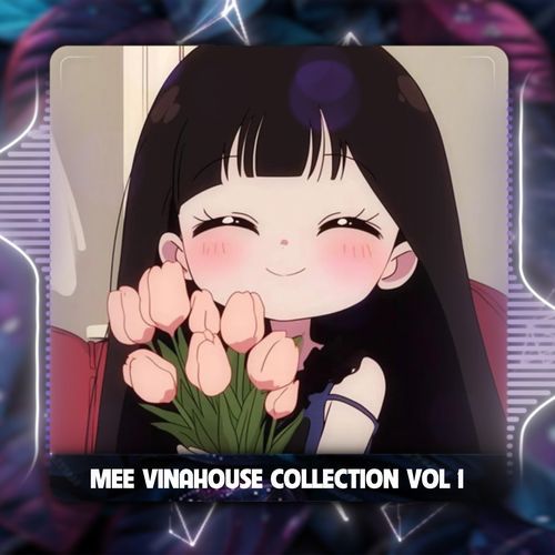 Mee Vinahouse Collection Vol.1