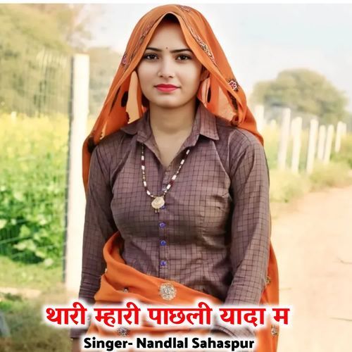 थारी म्हारी पाछली यादा म
