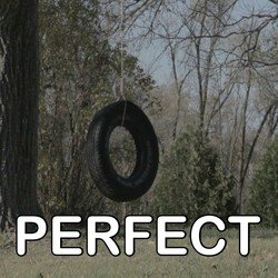 Perfect - Tribute to One Direction