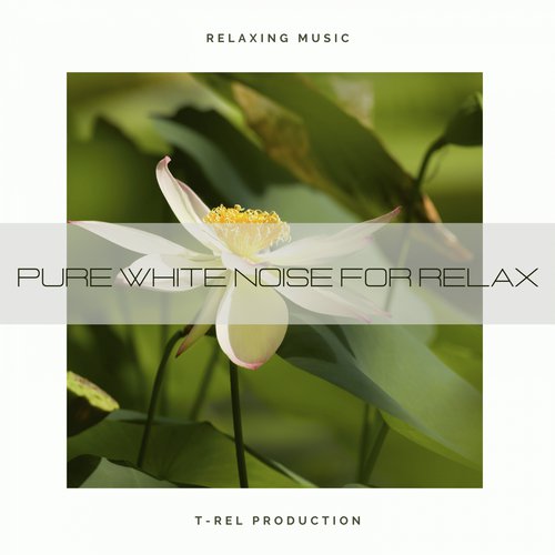 Heavy White Noise Spa cover art