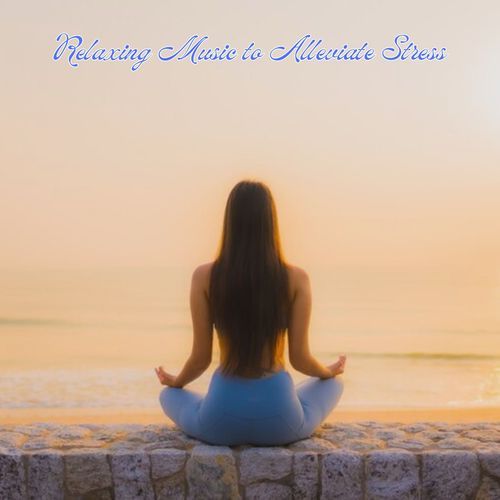 Mindfulness Promotion cover art