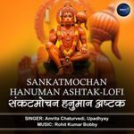 Sankatmochan Hanuman Ashtak-Lofi