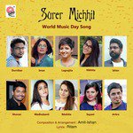 Surer Michhil