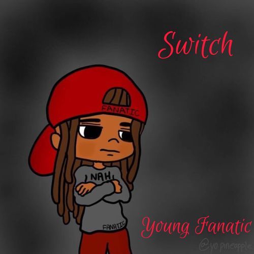 Switch cover art
