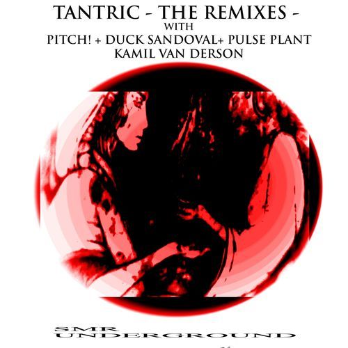 Intention (Pulse Plant Remix) cover art