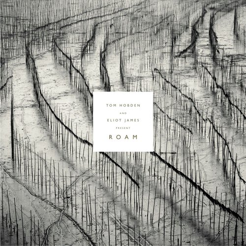 Plessey Wood cover art