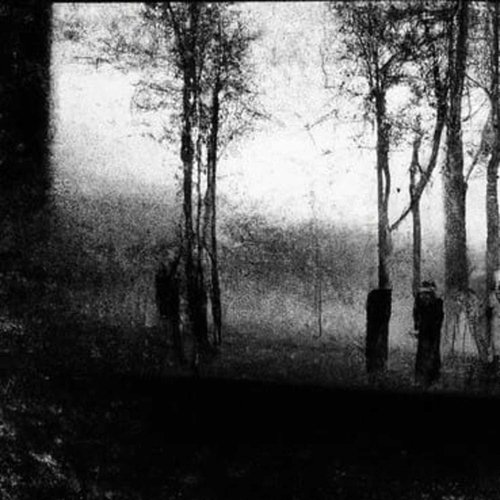 Vääristymä cover art