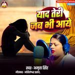 Yaad Teri Jab Bhi Aaye