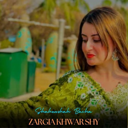 Zargia Khwar Shy