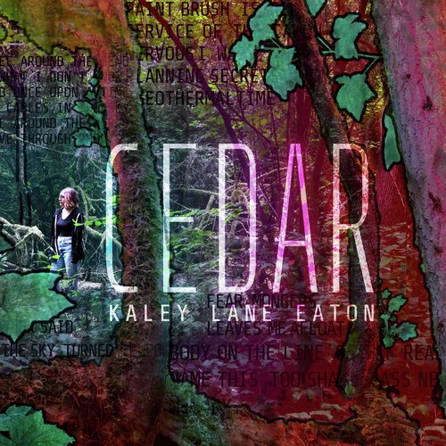 controlled burn cover art