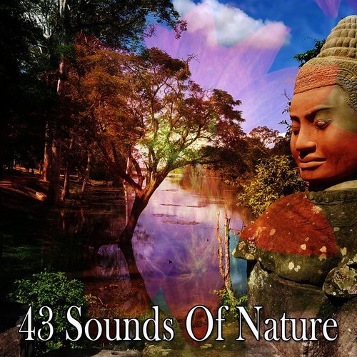 43 Sounds Of Nature