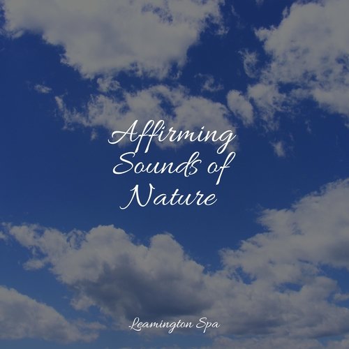 Meditating Music cover art