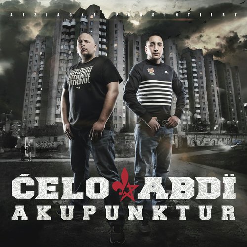 Akupunktur cover art