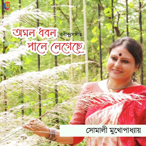 Amalo Dhabalo - Single