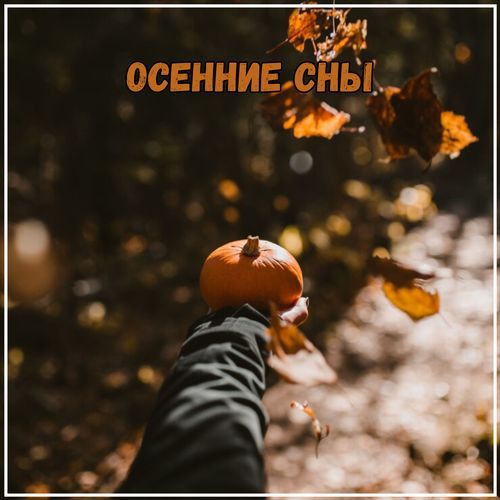 Музыка для душевных разговоров cover art