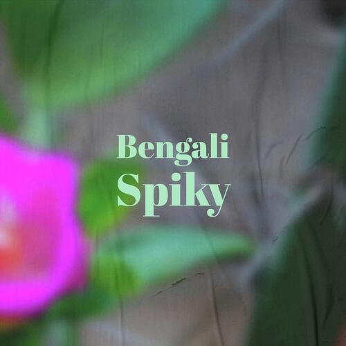Bengali Spiky cover art