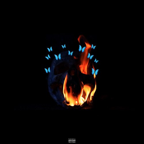 Bsh cover art