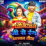 Dhobiyan Se Rang Dalawava Tiya