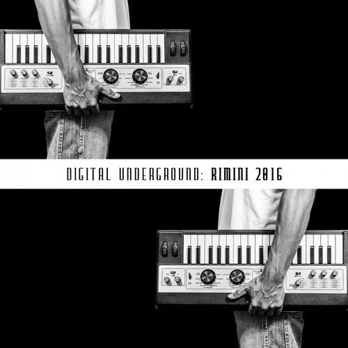Digital Underground: Rimini 2016