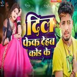 Dil Fek Dehab Kod Ke