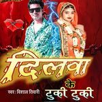 Dilwa Ke Tuki Tuki