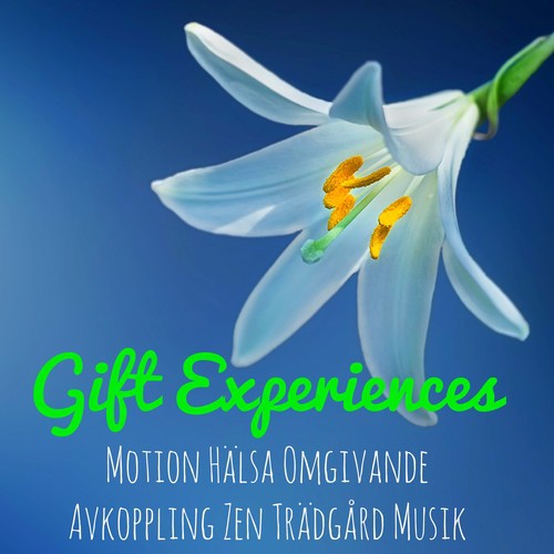 Gift Experiences