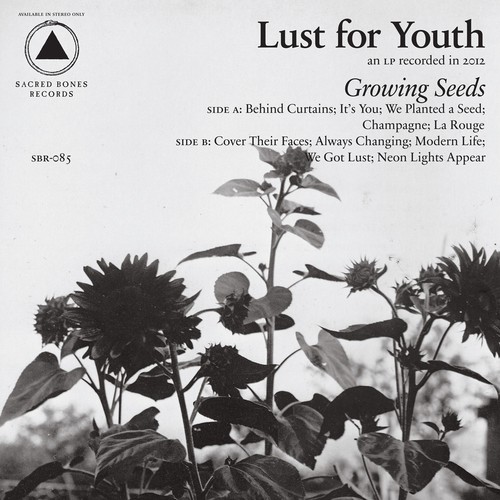 Growing Seeds_poster_image