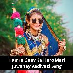 Hamra Gaav Ka Hero Mari Juwanay Aadiwasi Gana