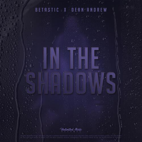 In The Shadows_poster_image