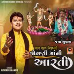 Lakh Lakh Divda Ni Jogani Ma Ni Aarti