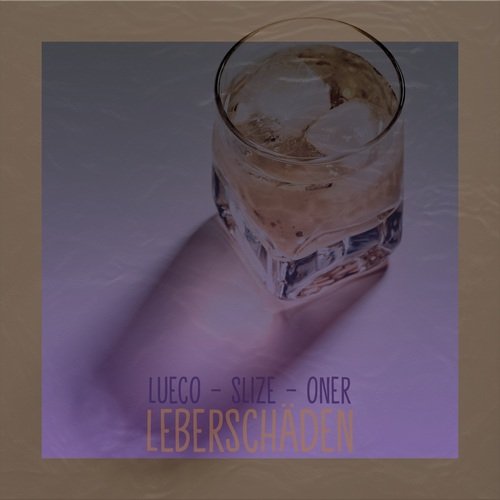 Leberschäden cover art