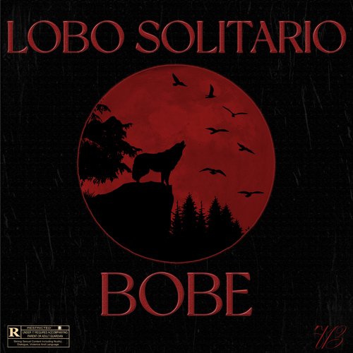 Lobo Solitario_poster_image