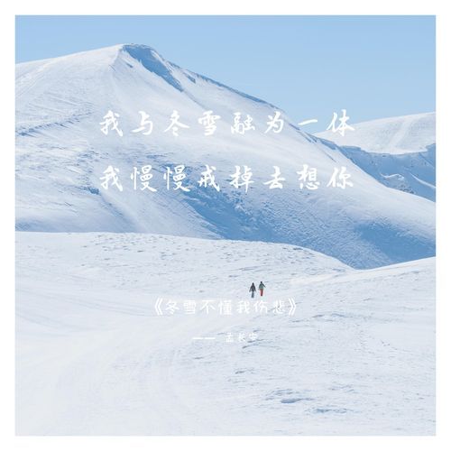 冬雪不懂我伤悲 cover art
