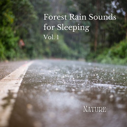 Steady Weather cover art