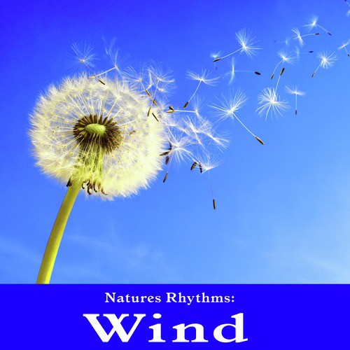 Channel the Subtle Wind for Quiet Contemplation and Inner Peace cover art