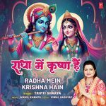 Radha Mein Krishna Hain