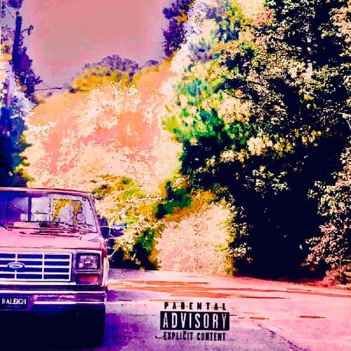 Wayne (Stick to my Gunz) cover art