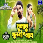 Rumal Jhulto Jay