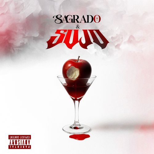 VESTINDO DESIGN cover art