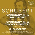 Symphony No.9 in C Major, D.944, IFS 740: I. Andante - Allegro, ma non troppo