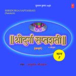Shri Durga Saptshati Vol-2