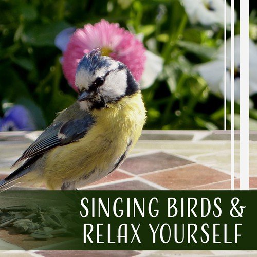 Singing Birds & Relax Yourself (Inner Awakening, Time for Relaxation & Meditation, Sleep, Harmony of Senses, Just Calm)