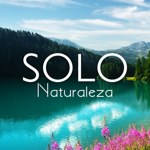 Sonidos Relajantes de lluvia, Viento y Tormentas Eléctricas cover art
