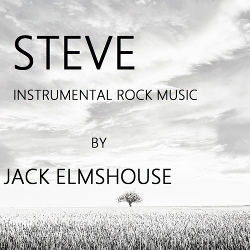 Steve cover art